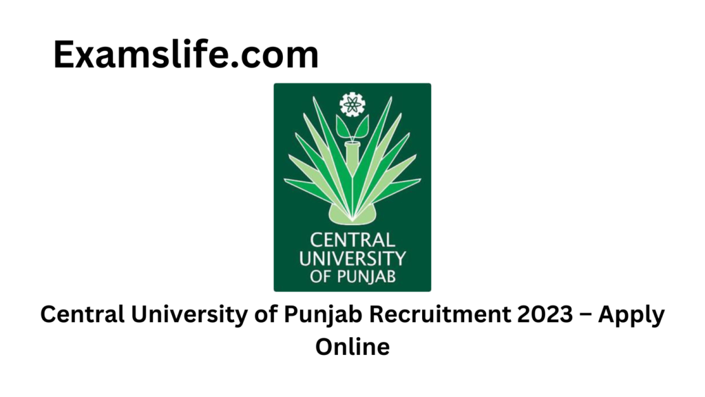 Central University of Punjab Recruitment 2023 – Apply Online